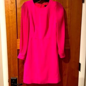 J Crew pink crepe dress with see through sleeves.